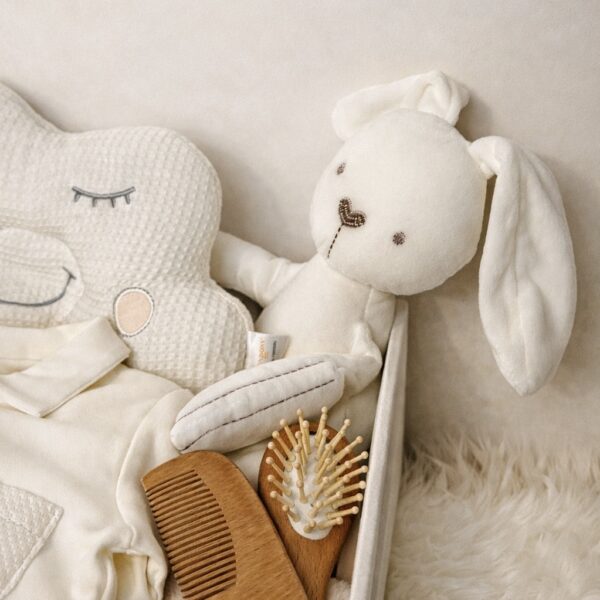 Noochy Ivory Baby luxe Bundle -for boys