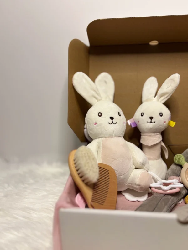 Soft Bunny Baby Gift Bundle Set