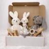Soft Bunny Baby Gift Bundle Set